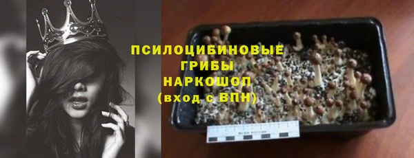 твердый Горняк