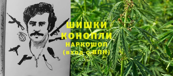 твердый Горняк